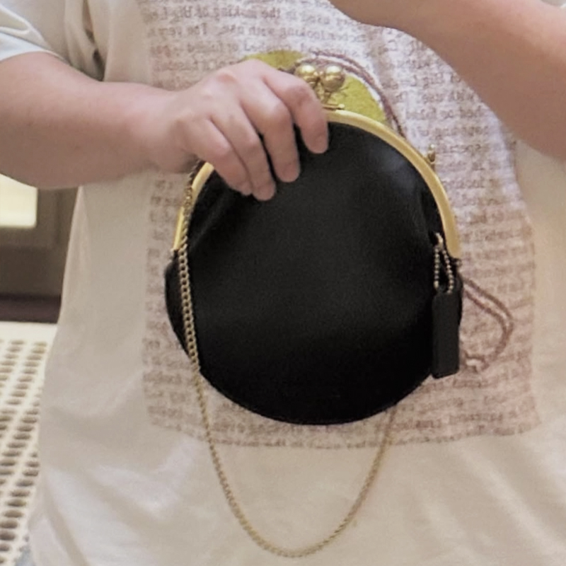 Kisslock Pouch 20cm Clutch Cli - Luxury Bags Consignment ulasan dan harga